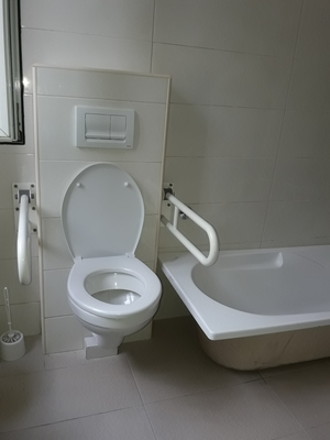 Webp.net-resizeimage 1