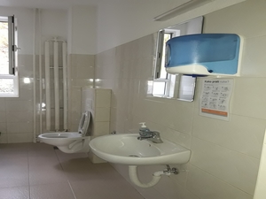 Webp.net-resizeimage 3